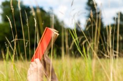 freestockgallery-buch-im-gras-lesen-1266