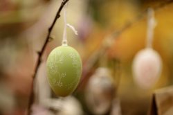 pexels-christina99999-31280776